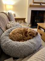 DreamPaws™ Calming Donut Dog Bed — 
Anxiety Relief & Deep Sleep