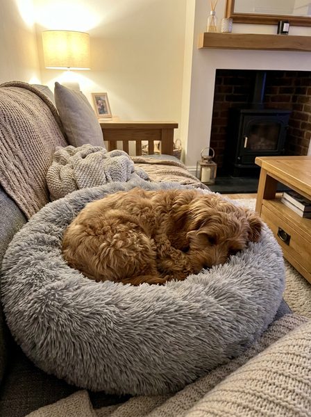 DreamPaws™ Calming Donut Dog Bed — 
Anxiety Relief & Deep Sleep